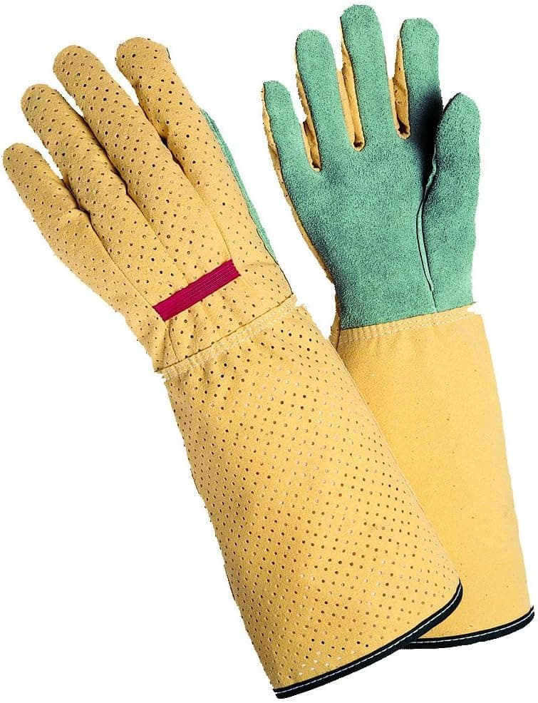 MAGID G190T Simply Pastel Women's Rose Glove, Leather Palm, Long Cuff, Medium (1 Pair)