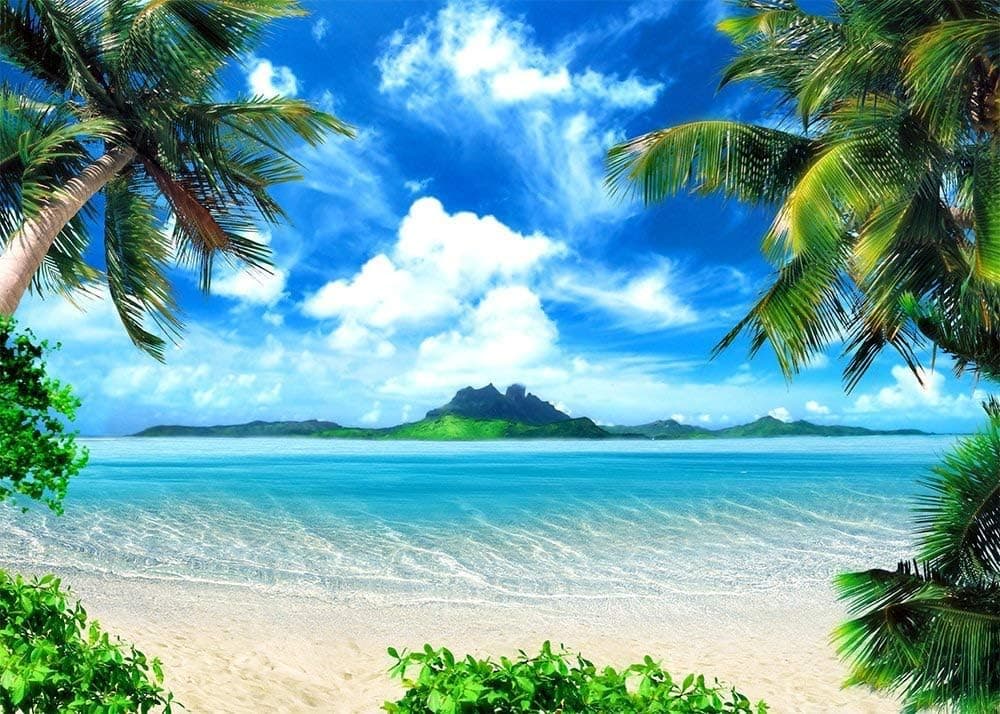 Art Studio Tropical Hawaii Beach Photography Backdrops Ocean Photo Booth Wedding Party Decoration Background Studio Props Vinyl 5x3ft Banner