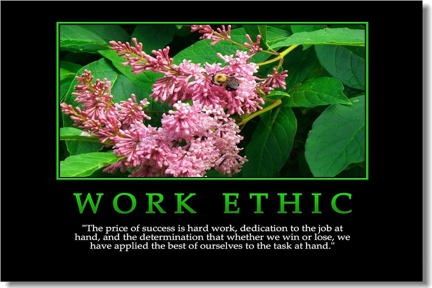 SmartWallStation 1x Motivational Self Positive Office Quotes Inspirational Success Teamwork Wall Silk Poster Art Prints for Big Room Hall Office 20x13 (50x33cm) (041)
