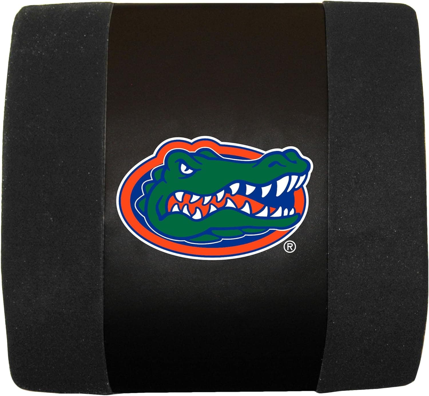 Fremont Die NCAA Fan Shop Lumbar Seat Cushion