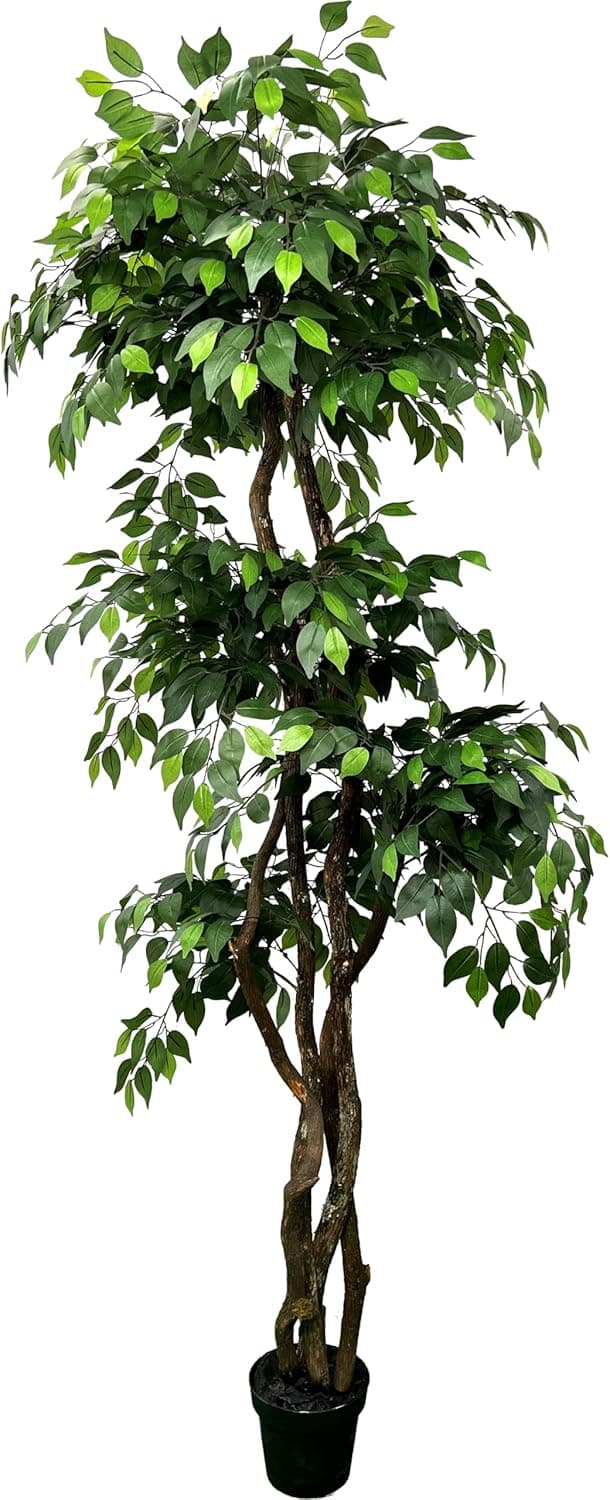 6.5' Ficus Tree - Fake Tree - Large Faux Plants Indoor - Tall Artificial Plants with Realistic Silk Leaves for Indoor Home Decor or Office - Handmade by Cypress & Alabaster with Real Wood Trunks