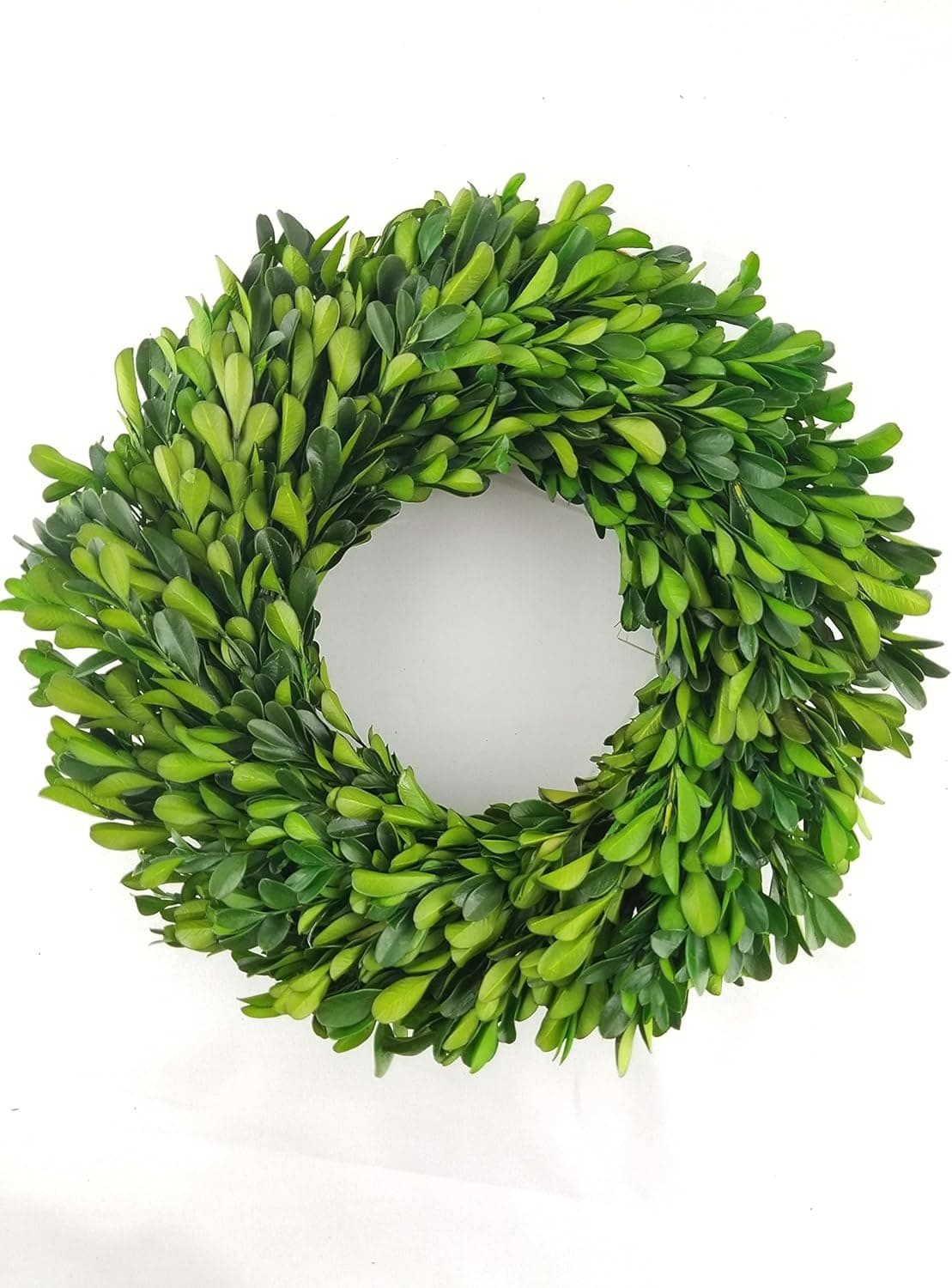 Tradingsmith Preserved Boxwood Wreath - 10"
