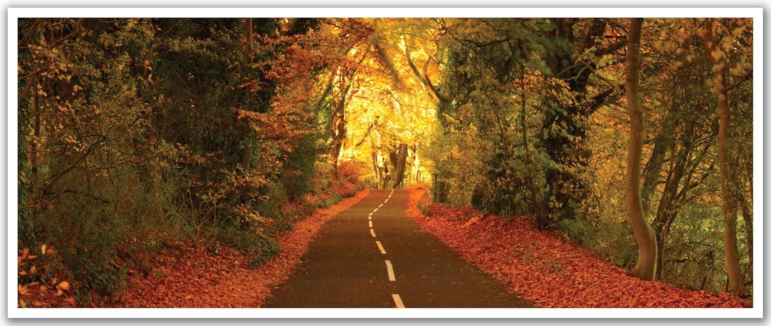JP London PAN5110 uStrip Autumn Road Through Forest Sunset High Resolution Peel Stick Removable Wallpaper Sticker Mural, 48" Wide by 19.75" High